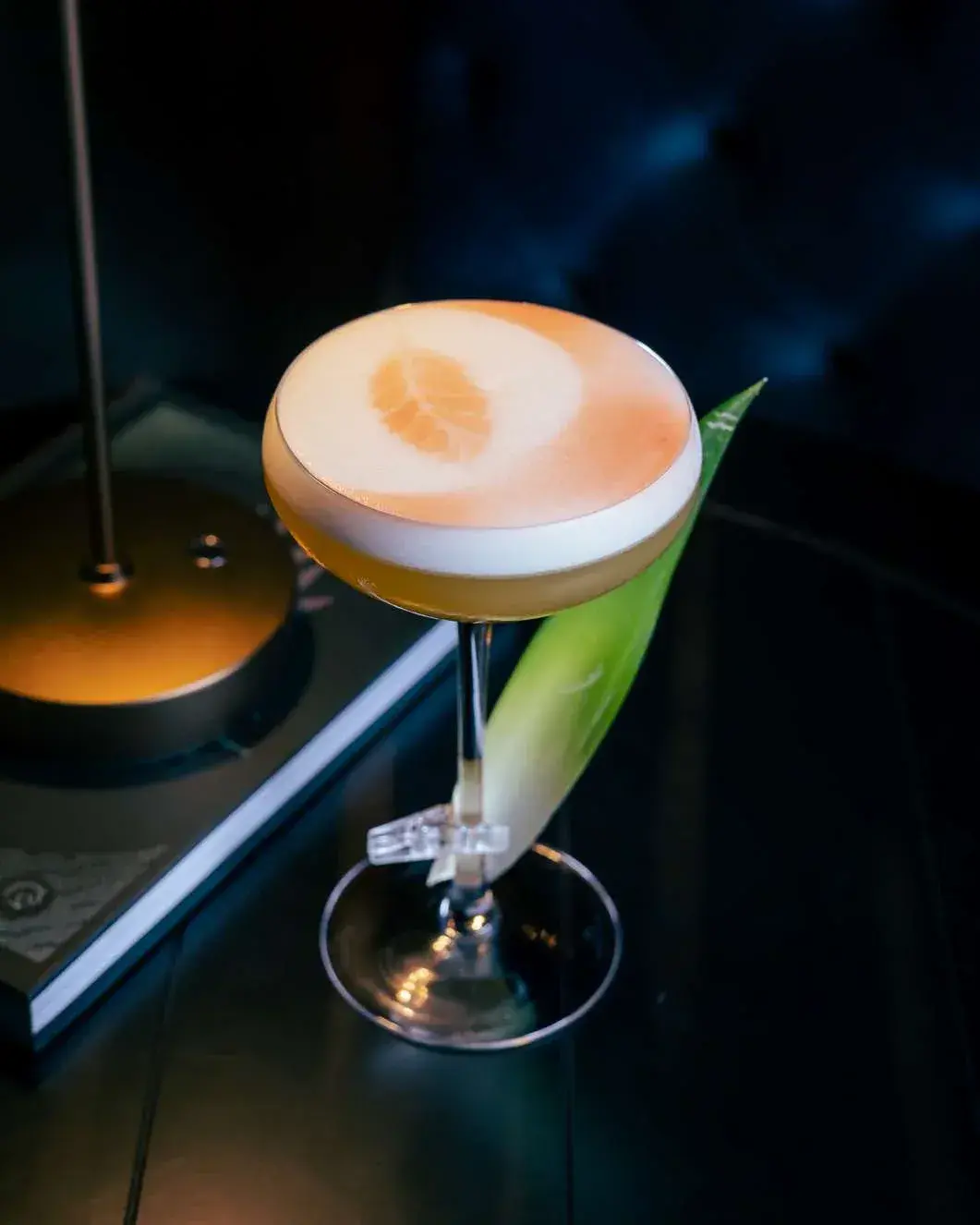 Close look at the orange citrus stencil dusted across a foam-topped coupe